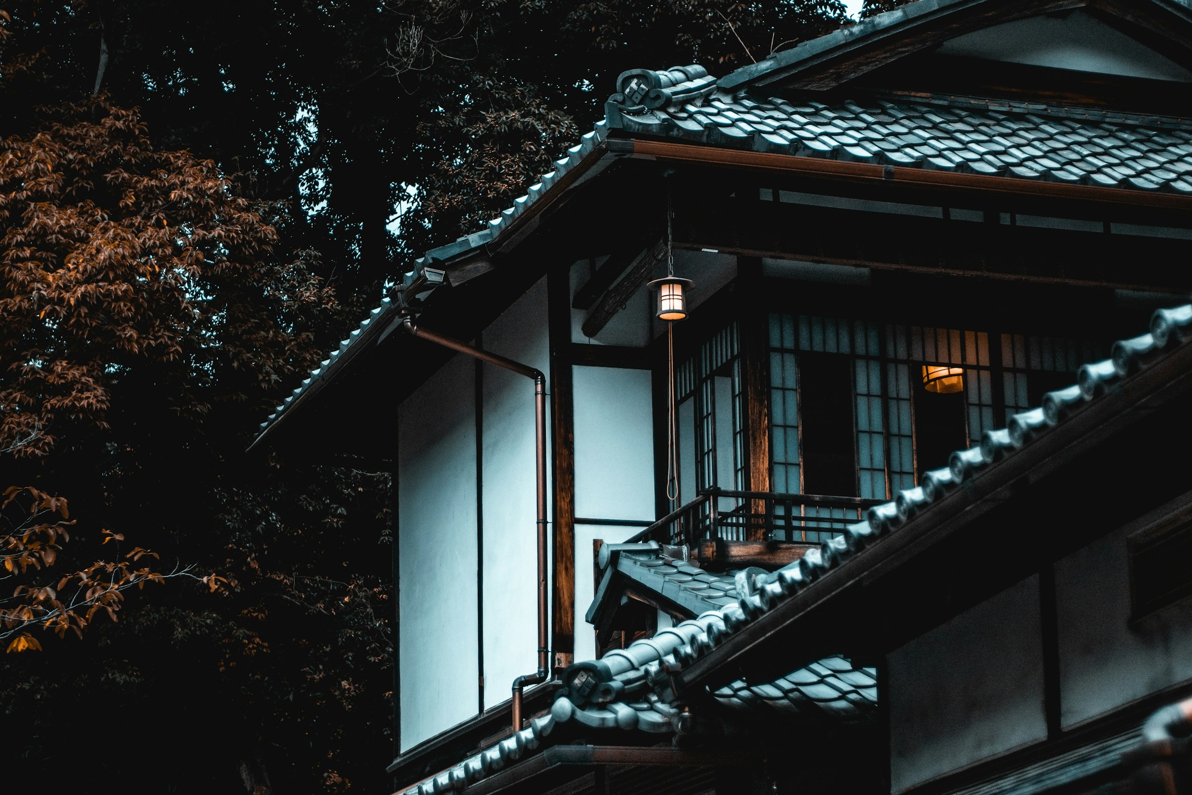 白茶の住宅